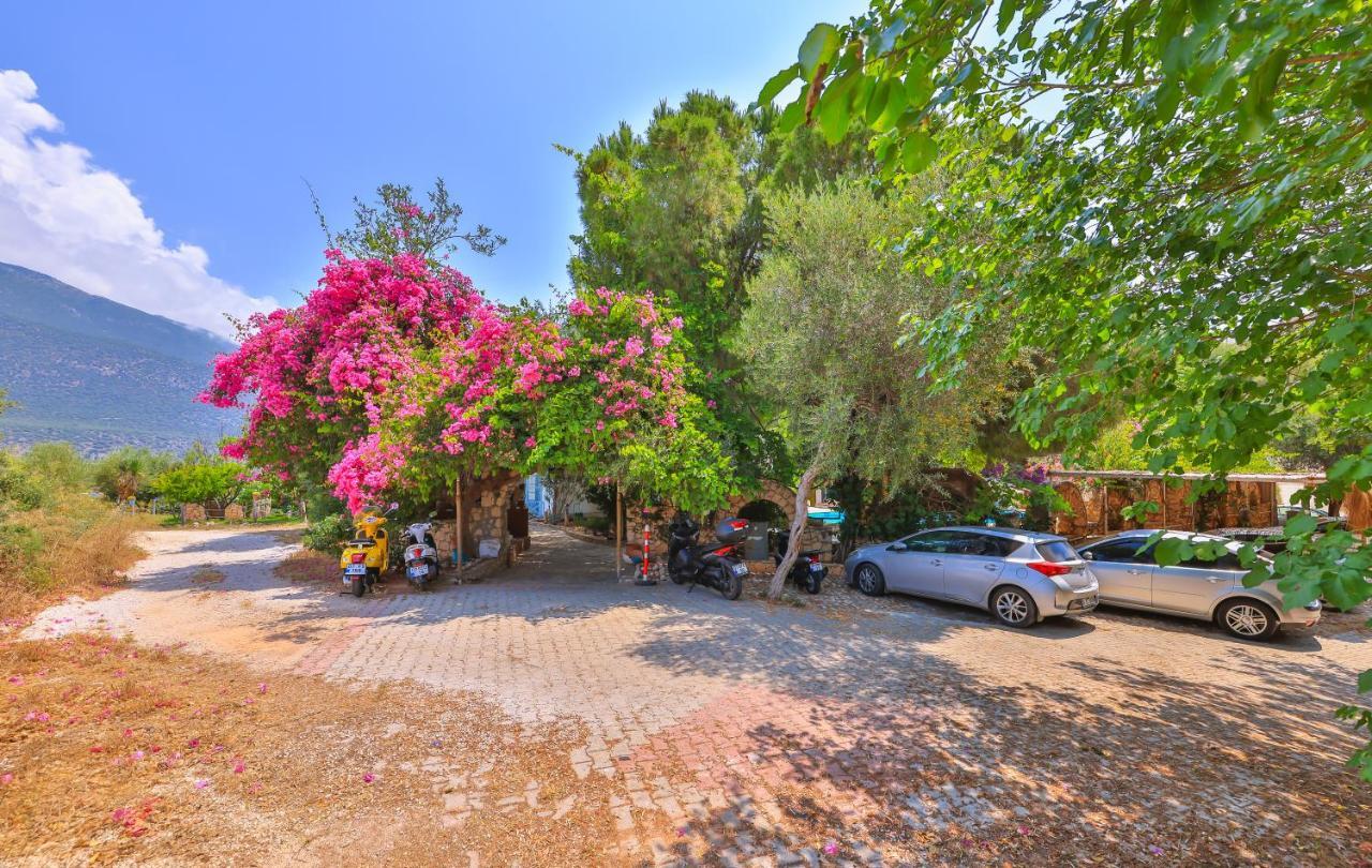 La Salvia Hotel Kaş Eksteriør billede